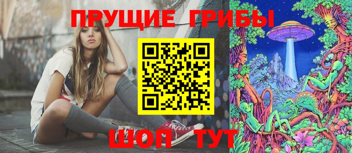 Галлюциногенные грибы Psilocybe  Вход с VPN  Пушкино 